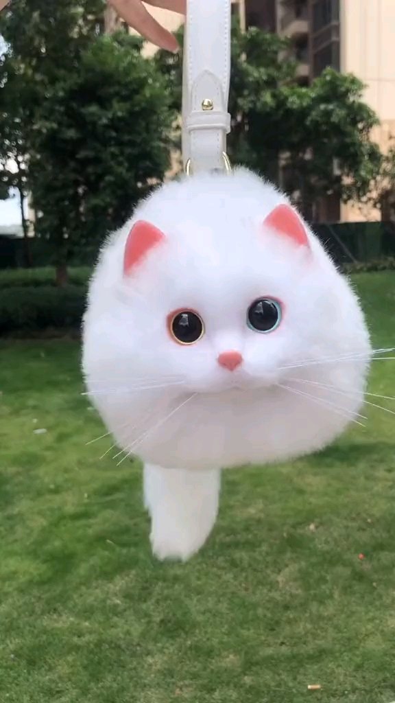 gemesshhh #taskucing