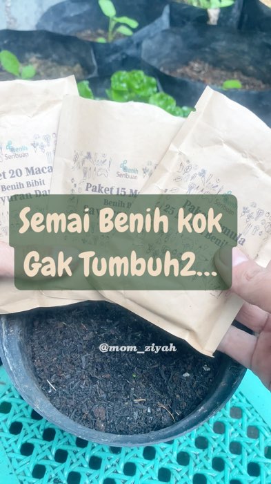 Siapa yg suka gagal nyemai?sama aku juga dulu begitu 😀 #semaibenih #semai #benihsayur #benihsayuran #benihsayuranmurah #tanambenih #benihmurah