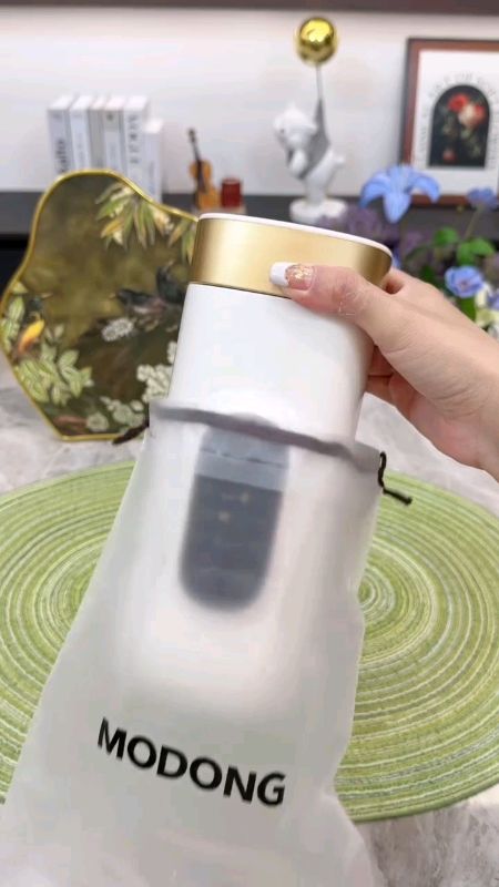Cangkir Boiler Ketel Portable Termostat Kapasitas Besar #pemanasairportabel #RacunShopee #shopeevideofeed