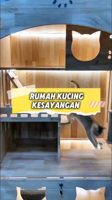 Bikin kucing jadi lebih nyaman 🐈 #BeliDiShopeeVideo #Diskon50Persen #GratisOngkirRP0 📦 #rumahkucingviral