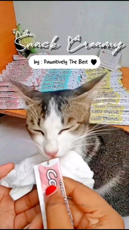 #pawsitivelythebest  #snackcreamykucing #snackcreamyanabul #syarifahhanum123 #racunnyarifha #bismillahfyp🌻 #RacunShopee #CODin #RacunShopeeUnik