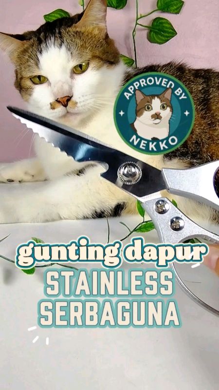 #guntingstainless #guntingdapur #guntingdapurserbaguna #guntingdaging #approvedbynekko #SpillRacunShopee #alatdapur #tipsmasak #RacunShopee