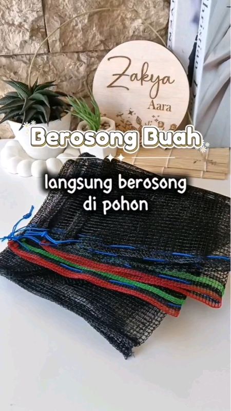 #RacunShopee #brongsongbuah #brongsongkelengkeng #brongsong #brongsongkekinian #brongsongViral #GakNyeselBeliIni #petani #petaniindonesia #shopeevideo