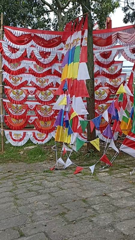🇲🇨🇲🇨🇲🇨#fyp #bendera