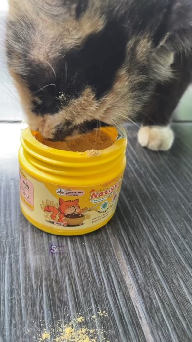 #vitaminkucing #vitaminkucingmurah #vitaminkucinggembul #suplemenkucing