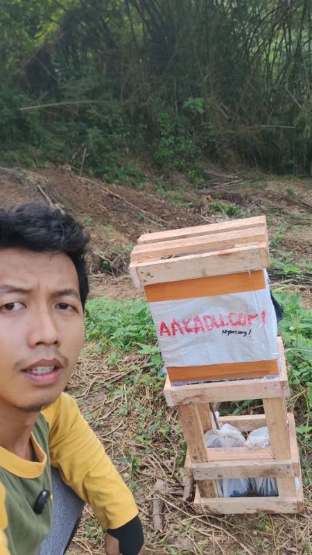 Bibit durian premium #Diskon50Persen #ViralDiShopeeVideo #SpillRacunShopee #RacunShopee #ShopeeCOD #PromoNonStop