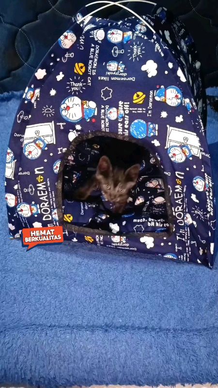 Tenda kain kucing anjing portable #tendakucingmurah #rumahkucingmurah #SpillBawaBerkah #DiskonShopeeVideo #ShopeeCOD #fyp #tendakucingviral #bantal