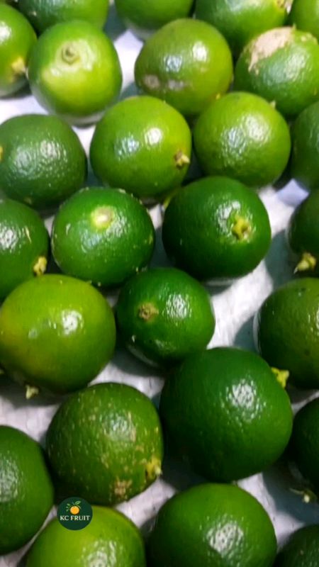 Jeruk sonkit segar #jeruksonkit #jerukkasturi #jerukkunci #buah #fyp