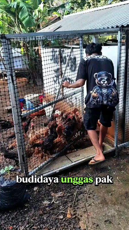 #jaringplastikkandangayam #RacunShopee #keranjangshopee #