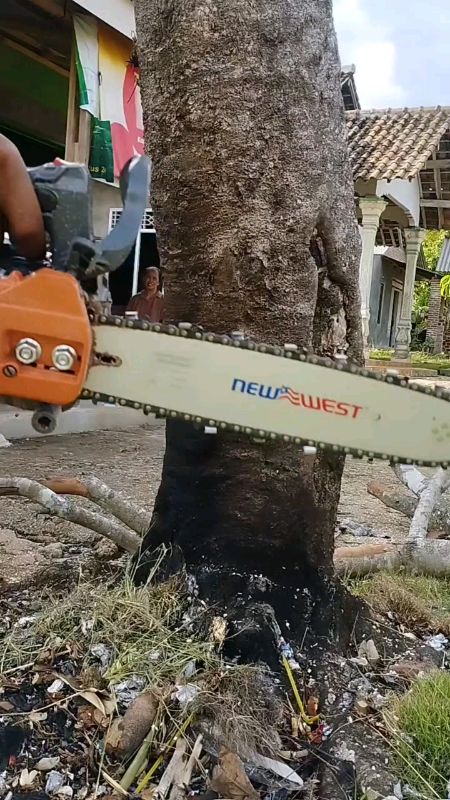 mesin gergaji kayu #mesinpotongkayu #chainsaw #SpillBawaBerkah #ShopeeLook #SpillRacunShopee #ShopeeVideoCreator #ViralDiShopeeVideo #shopeevideo