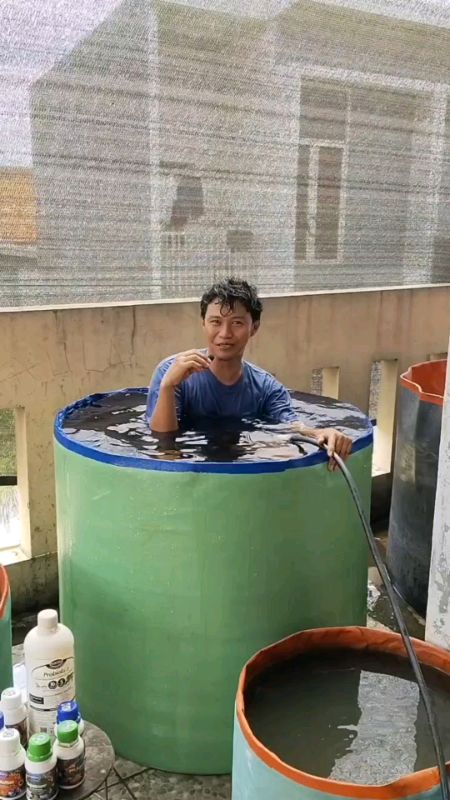 kolam terpal bulat tanpa rangka kuat kokoh dan tahan lama #kolamterpalikan #kolamterpalmurah #budidayalele