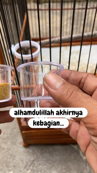 cepuk pakan burung anti ribet#cepukburungkicau #ShopeeCOD #RacunShopee