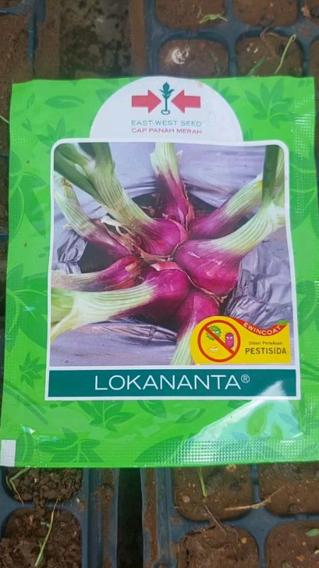 bibit bawang merah biji Lokananta #bijibawangmerah #bawangmerahbiji #bawangmerah #lokananta #bibitbawangmerah #RacunShopee #RekapShopee #ShopeeCOD