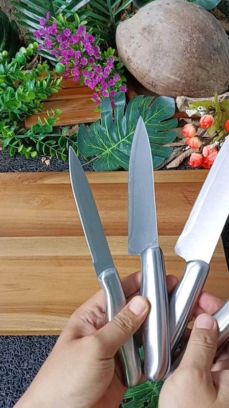 Pisau Dapur Tajam  #pisaudapur #pisaustainless #pisauantikarat #pisautajam #ViralDiShopeeVideo #RacunShopee #PromoNonStop #ShopeeCOD #GratisOngkirRP0