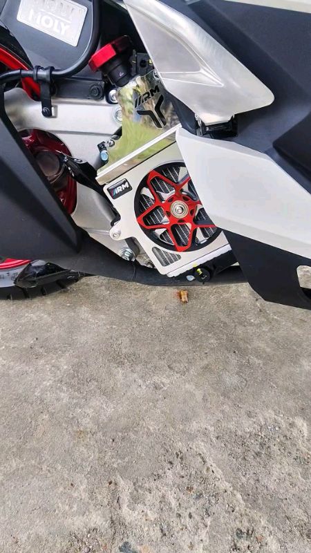 Cover Radiator Spiner Bintang Arumi – Bikin PCX 160 Jadi Makin Ganteng & Keren Abis   #pcx160 #coverradiatorpcx160 #coverradiatorarumi #aksesorispcx