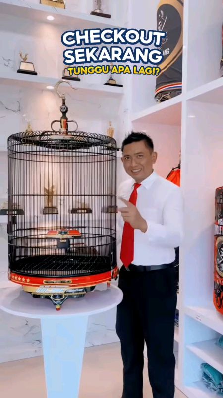 SANGKAR MURAI BATU RED RACING BOLANG PRODUCTION #sangkarmuraibatu #sangkarmurairedracing #andribolangsf #ngawisf #bolangproduction #fyp #1212bigsale