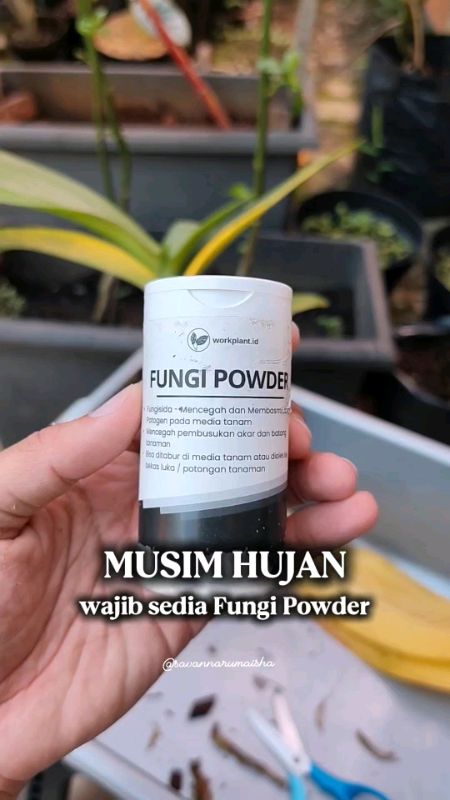 anti jamur utk tanaman #RacunShopee #SpillRacunShopee #ViralDiShopeeVideo #WorkplantRushChallenge #fungipowder #antijamur #pembasmijamurtanaman #fyp