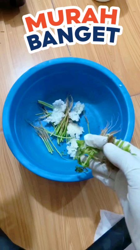 techno anti sumbat#technoantisumbat #antisumbat  #antisumbatsaluranair #antisumbattoilet #RacunShopee #SpillRacunShopee #SpillBawaBerkah anti sumbat