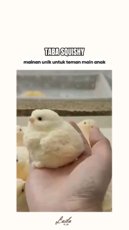 #squishy #tabasquishylucu #tabasquishy #mainanviral #mainananak #tabasquishygemes #tabasquishyayam #squishyanakayam #squidgame #RacunShopee
