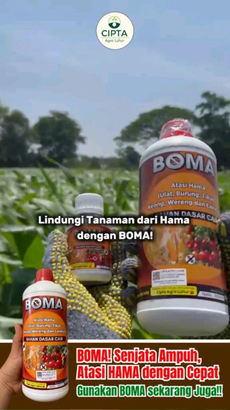 Obat boma bisa mematikan semua hama cocok untuk petani #SpillRacunShopee #SpillBawaBerkah #DiskonRacunShopee #obatboma #RacunShopee #ShopeLook