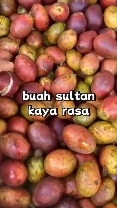 #SpillBawaBerkah #SpillRacunShopee #TermurahDiShopee #buahmatoa #matoapapua #matoa #matoamerah #matoafreshpetik