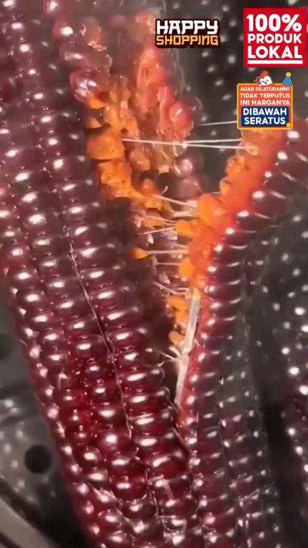 #jagungketanungu #ViralDiShopeeVideo #RacunShopeeCheck #ramadhan #tranding