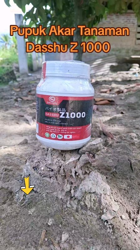 Pupuk Akar Tanaman #dasshuz1000 #dasshujepangz1000 #teknologijepang #pupukakar #solusipetani #ViralDiShopeeVideo #fyp