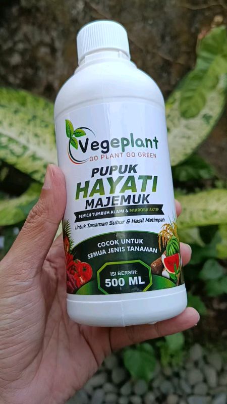 Pupuk pelebat buah dan mencegah busuk akar #pupukorganikcair #pupukbuahlebat #pupuktanaman #PromoNonStop #promoguncang77