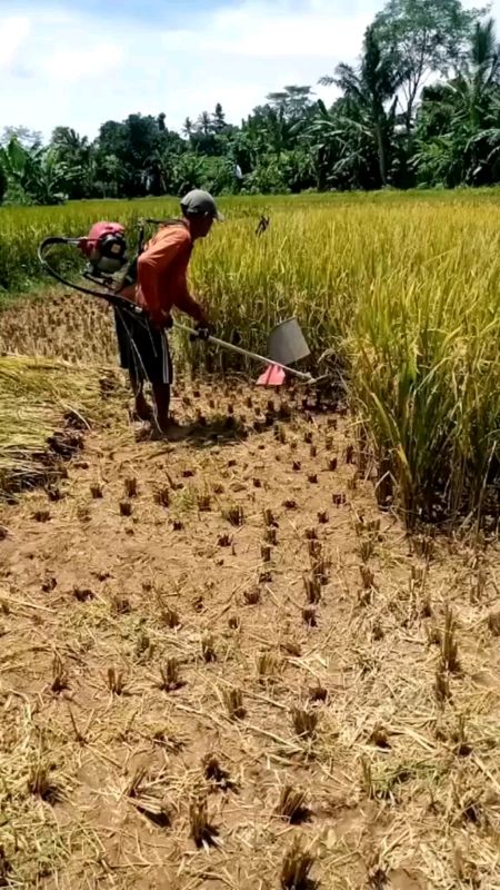 #spill #SpillRacun #shopeevideo #nyamandipakai #bahanberkwalitas #GakNyeselBeliIni #PromoNonStop #SpillBawaBerkah #gratisongkir #ShopeeCOD