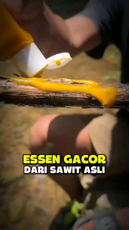 essen yang ampuh untuk semua jenis ikan#GakNyeselBeliIni #ShopeeFashionHaul #ShopeeCOD #ShopeeLook #RacunShopee #jacketwanita