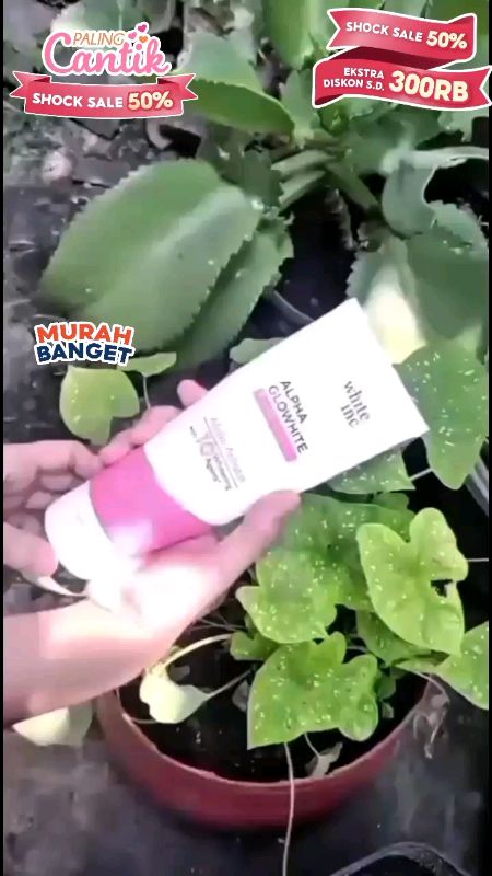semurah ini sudah bisa membuat kulit cerah seketika"#whitinc #bodylotionwhiteinc