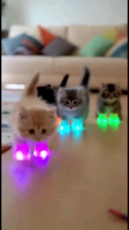 Sepatu Kucing Viral 🔥 #SpillBawaBerkah #ShopeeCOD #GratisOngkirRP0 #RacunShopee #TermurahDiShopee #PromoNonStop #DiskonRacunShopee