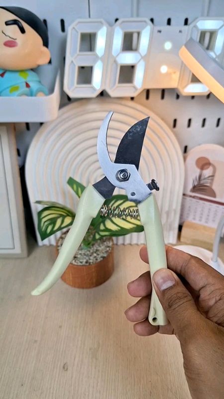 Gunting dahan untuk yang hobi berkebun #gunting #guntingdahan #guntingranting #guntingdahanranting #guntingrantingdahanpohon