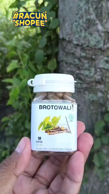 kapsul Brotowali #brotowali #brotowalikapsul #SpillRacunShopee #RacunShopee #ShopeeCOD #ViralDiShopeeVideo #SpillBawaBerkah #fyp