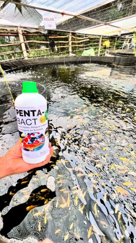 #SpillRacunShopee #cekoutsekarang🛍 #RacunShopeeCheck #SpillRacunShoopee #SpillBawaBerkah #bismillahfyp #fypdooonggggggg #SpillRacunShopee #ShopeeLook
