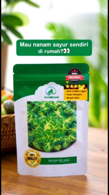 🌱 BENIH BAYAM BELANG UNGGULAN – Mudah Tumbuh & Panen Cepat!#benihsayur #bayambelang #bayambatik #berkebundirumah #urbanfarming #kebunrumah #tanamsend