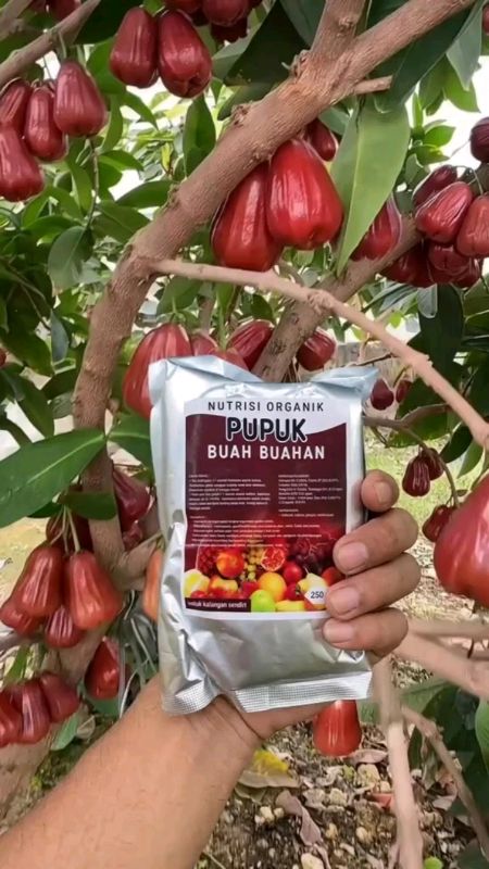 pupuk Buah Buahan/Nutrisi organik Tanaman#SpillRacunShopee #Diskon50Persen #GratisOngkirRP0