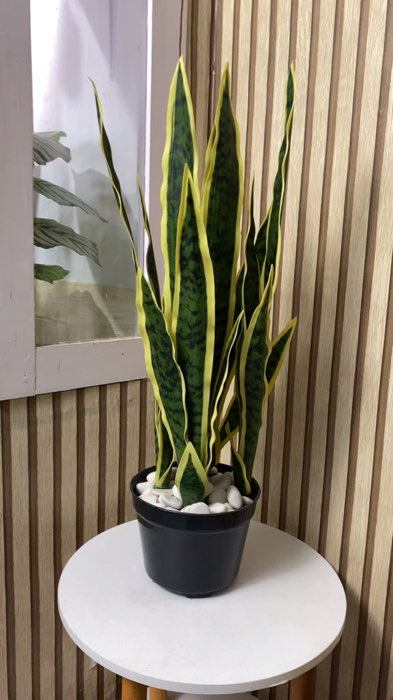 Tanaman artificial sansivera hiasan rumah sudut ruangan, dekorasi kantor, vila, hotel dll #tanamanartificial #hiasanrumah #dekorasi #tanamanbuatan