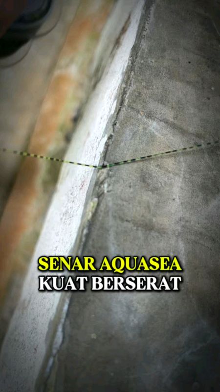 Senar aquasea super kuat#ShopeeCOD #shopeevideo #PromoNonStop #SpillRacunShopee #Diskon50Persen #senarpancing #Senarpancingkuat #senaraquasea