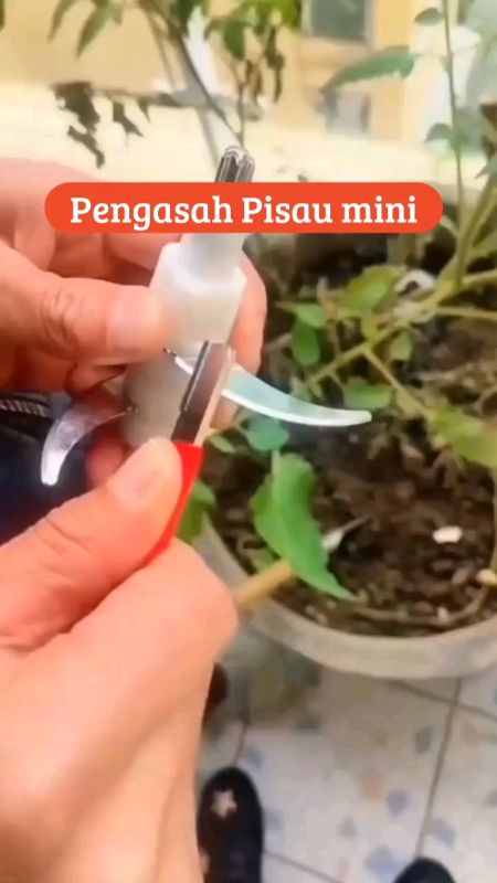 #pengasahpisau #asahpisau #PengasahPisauMiniPortable #pengasahpisaupraktis #GratisOngkirRP0 #PejuangRupiah #SpillBawaBerkah #ViralDiShopeeVideo