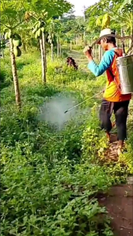 #ShopeeCOD #DiskonRacunShopee #shopeevideo #GratisOngkirRP0 #RacunShopee #krestara135sl #herbisidarumput
