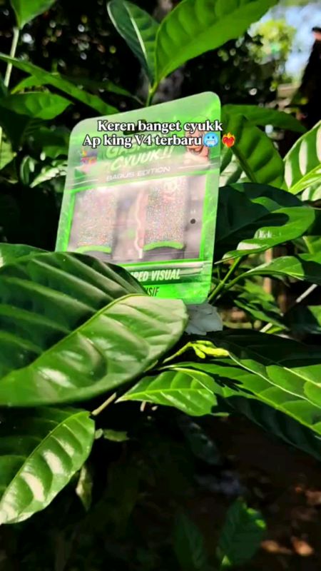 ap king v4 sarung jempol seri terbaru free diamond #Sarungjempol #apkingv4 #sarungjempolapking #andrast