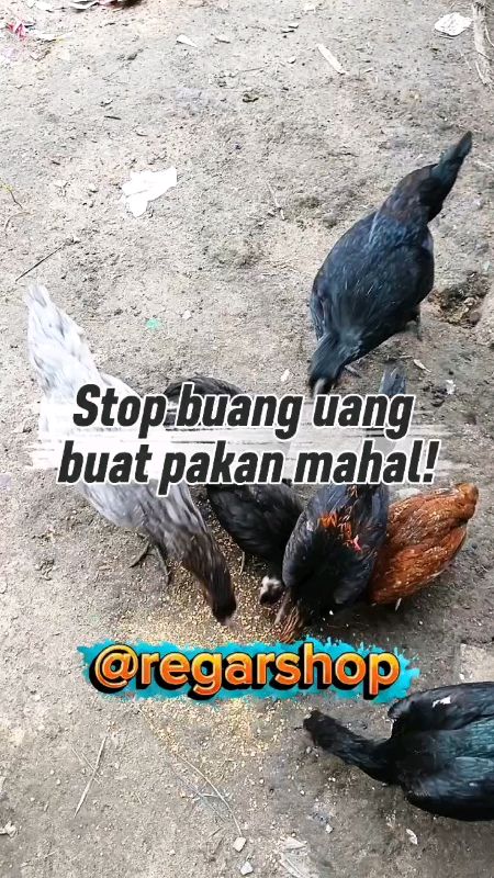 pur qyam murah berkualitas#purayammurah #purayamprotein #Diskon50Persen #ViralDiShopeeVideo #TermurahDiShopee #DiskonRacunShopee #ShopeeLahap