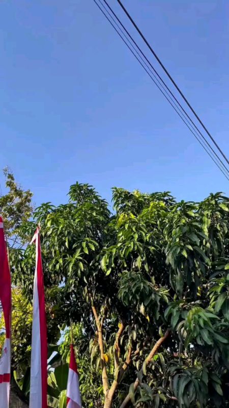 #bendera #merahputih #umbulumbul