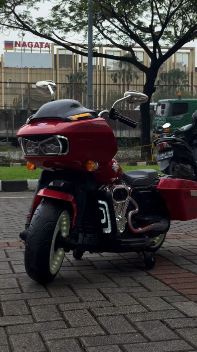 Yukita Harley Davidson 😍😍#mainananak #harley #mainanviral