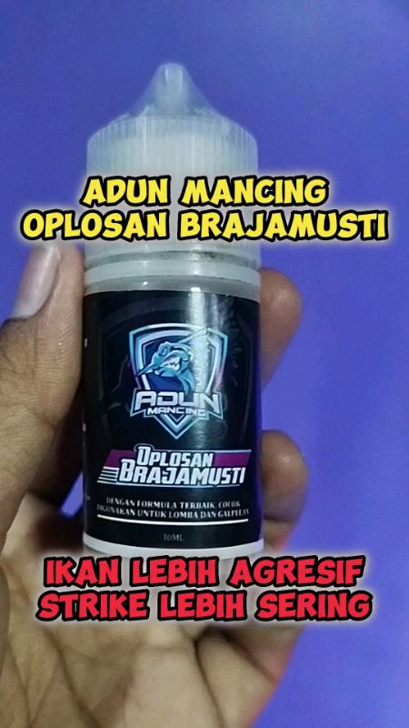 ESSEN OPLOSAN BRAJAMUSTI #adunmancing #oplosanbrajamusti #essenikanmas #essengacor #essenmancing