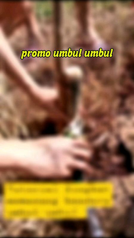 umbul umbul zig zag #umbulumbulzigzag #umbulumbulgaruda #umbulumbulwarnawarni #umbulumbulmurah #umbulumbul17agustus #umbulumbul #umbulumbulmerahputih
