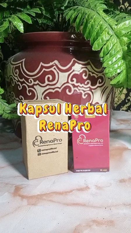 Kapsul herbal RenaPro isi 60 kapsul, berfungsi meningkatkan fungsi ginjal agar lebih optimal #renapro #kapsulherbal #ginjal