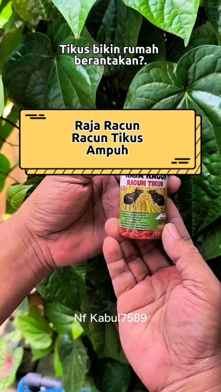 Raja Racun Tikus #RacunShopee #ViralDiShopeeVideo #SpillRacunShopee #rajaracuntikus #racuntikusampuh #obattikus #basmitikus #racuntikusmurah #original