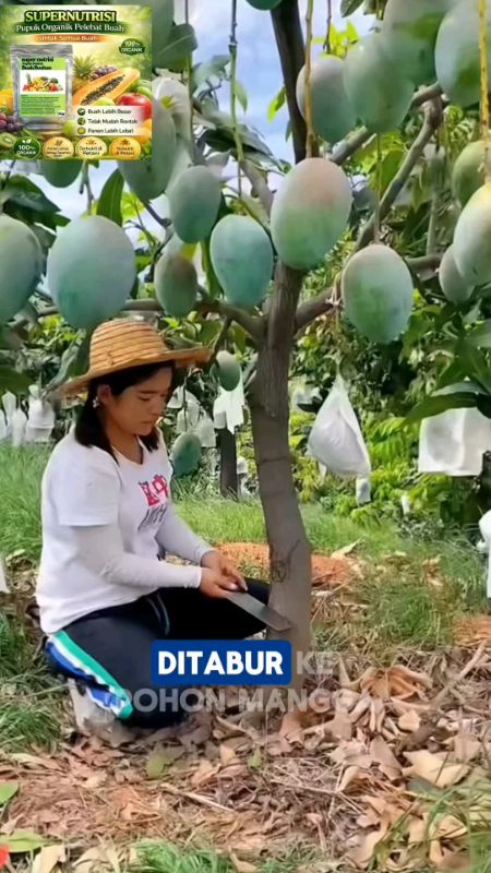 Pupuk pelebat buah #pupukpelebatbuah #pupukbuahsuper #pupukbuahsubur #ViralDiShopeeVideo #RacunShopee #ShopeeCOD